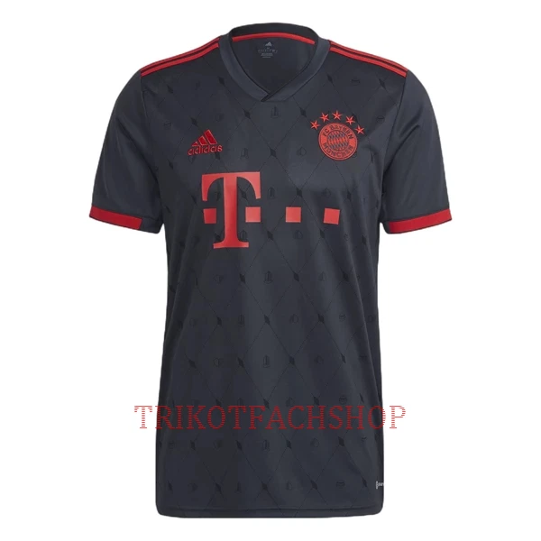 FC Bayern München Ausweichtrikot 22/23 für Herren