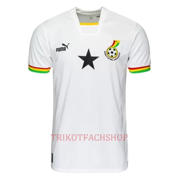 Ghana Heimtrikot WM 2022 für Herren