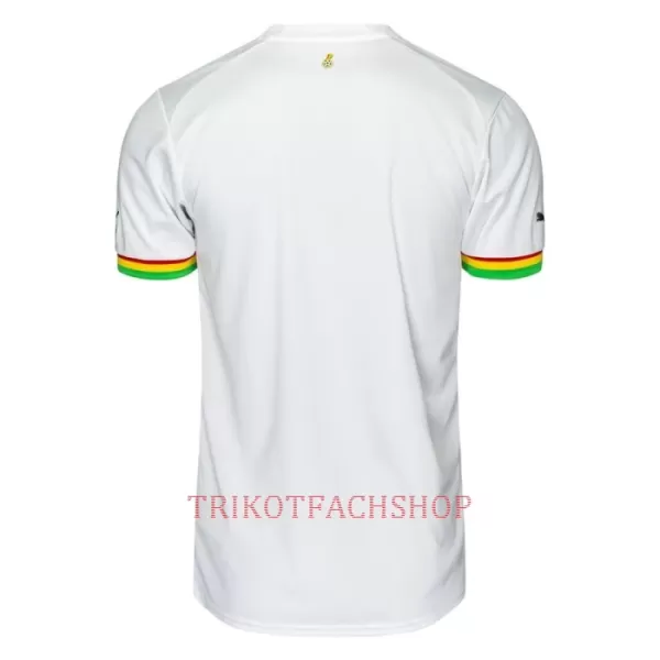 Ghana Heimtrikot WM 2022 für Herren