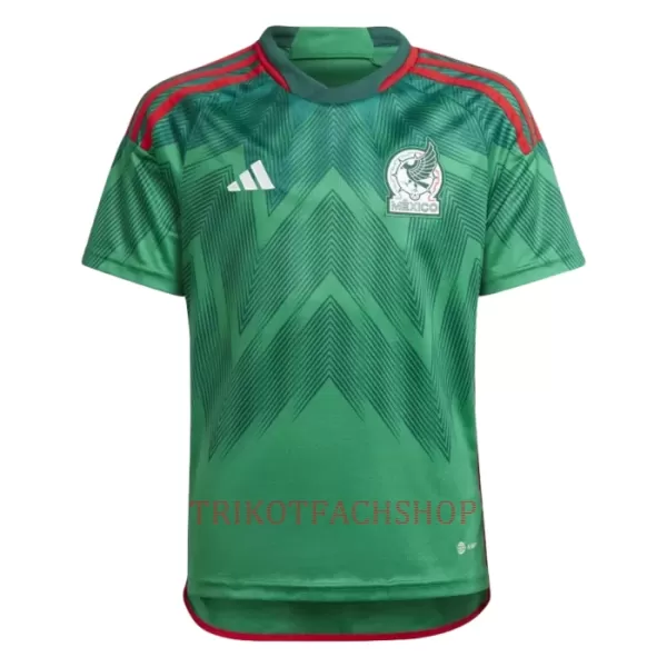 Mexiko Heimtrikot WM 2022 für Herren