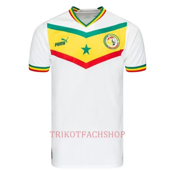 Senegal Heimtrikot WM 2022 für Herren