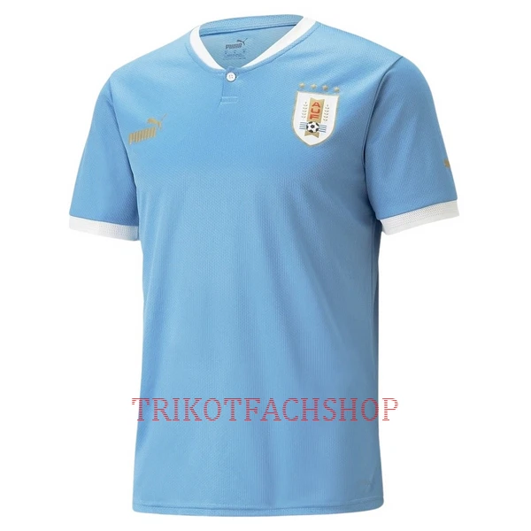 Uruguay Heimtrikot WM 2022 für Herren