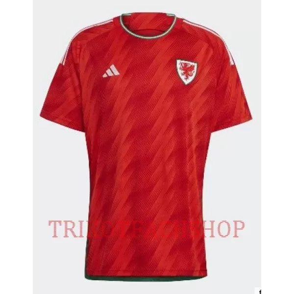 Wales Heimtrikot WM 2022 für Herren