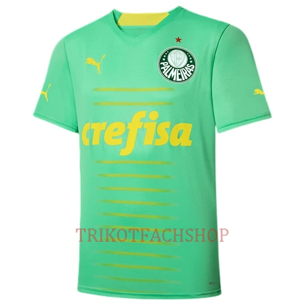 Palmeiras Ausweichtrikot 22/23 für Herren