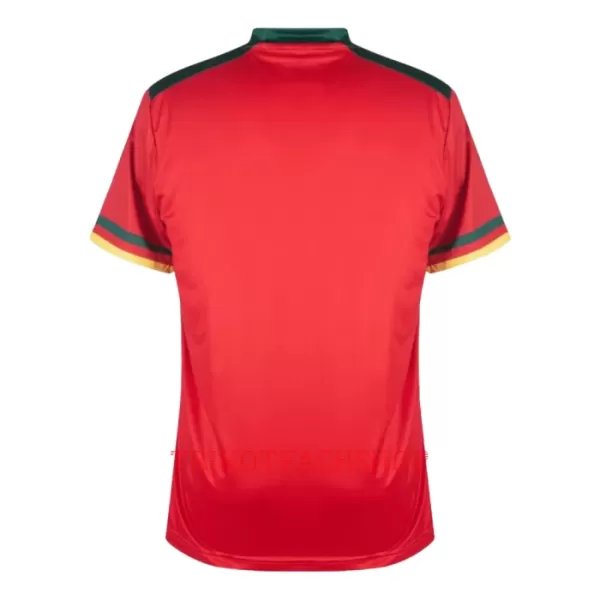 Kamerun Ausweichtrikot WM 2022 für Herren