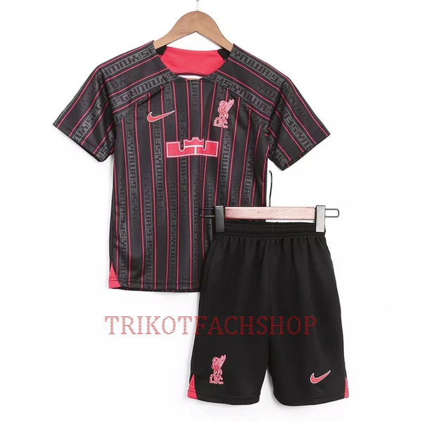 Liverpool X Lebron James Nike Trainingstrikot 2023 für Kinder