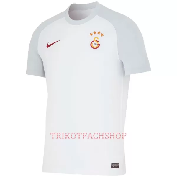 Galatasaray SK Auswärtstrikot 23/24 für Herren