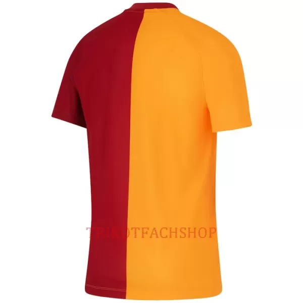 Galatasaray SK Heimtrikot 23/24 für Herren