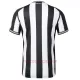 Newcastle United Heimtrikot 23/24 für Herren