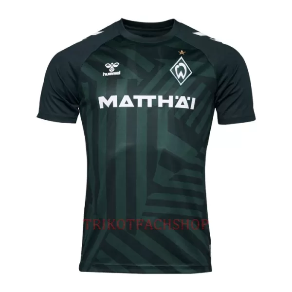 Werder Bremen Ausweichtrikot 23/24 für Herren