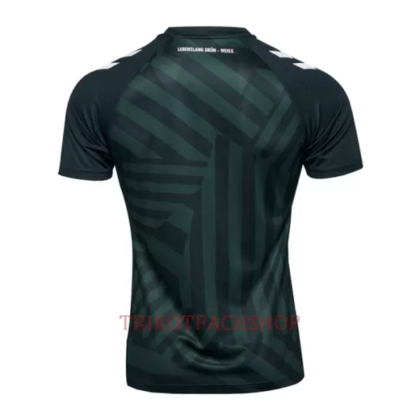 Werder Bremen Ausweichtrikot 23/24 für Herren