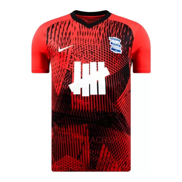 Birmingham City Heimtrikot 23/24 für Herren