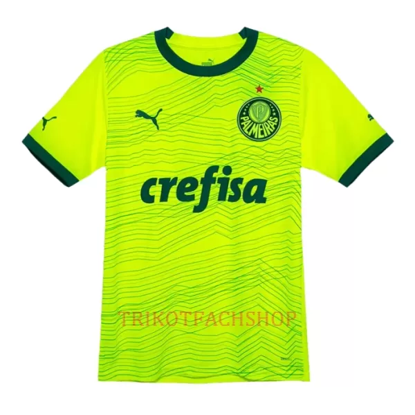 Palmeiras Ausweichtrikot 23/24 für Herren