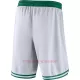 Boston Celtics NBA-Shorts Association Edition Swingman