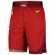 Cleveland Cavaliers NBA-Shorts City Edition Swingman