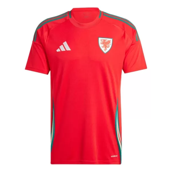 Wales Heimtrikot 2024 für Herren