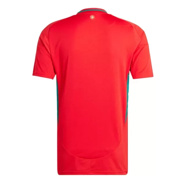 Wales Heimtrikot 2024 für Herren