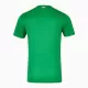 Irland Heimtrikot 24/25 für Herren