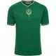 AS Saint-Étienne Trikot Jahrestag 23/24 für Herren