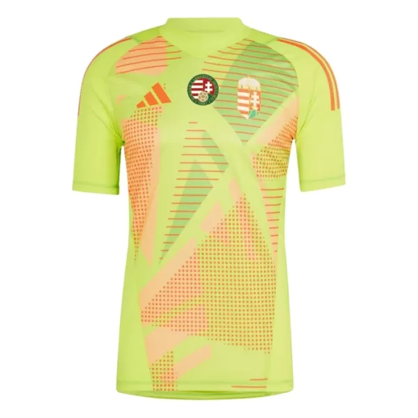 Ungarn Torwart Trikot Euro 2024 für Herren Gelb