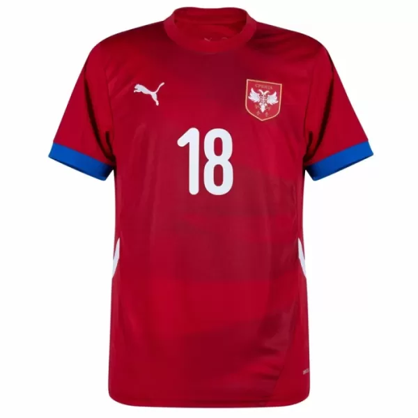 Serbien Dušan Vlahovic 18 Heimtrikot Euro 2024 für Herren