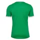 AS Saint-Étienne Heimtrikot 24/25 für Herren