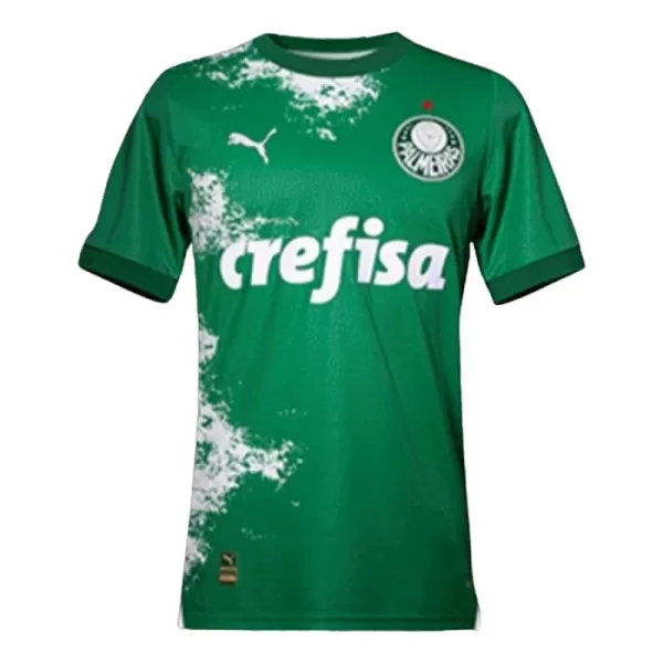 Palmeiras Trikot 2024 für Herren Grün (Speziell)