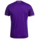 RSC Anderlecht Heimtrikot 24/25 für Herren