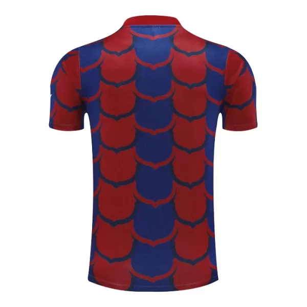 Barcelona Pre-Match Trikot 24/25 für Herren