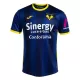 Hellas Verona Heimtrikot 24/25 für Herren