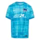 Hertha Berlin Ausweichtrikot 24/25 für Herren