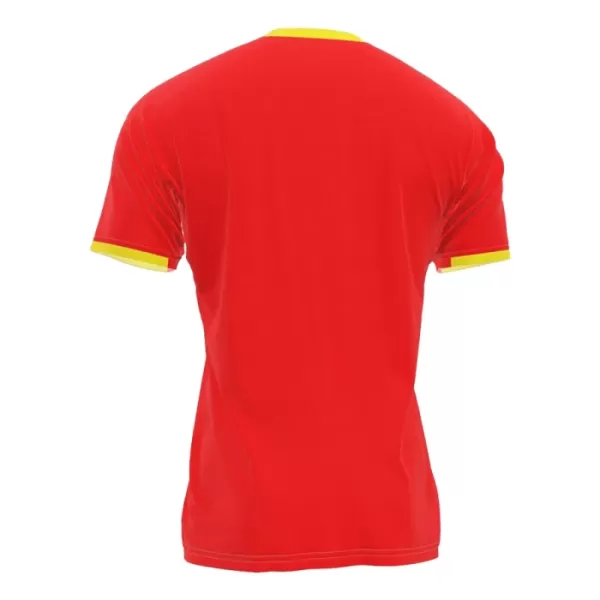 Guinea Heimtrikot 2024 für Herren