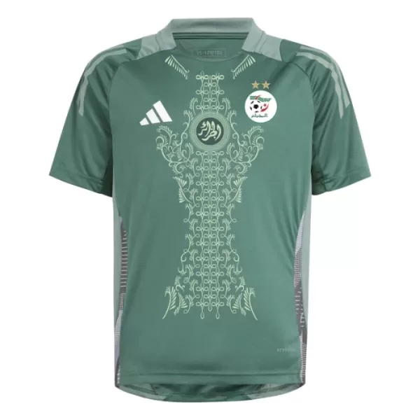 Nigeria Trikot 2024 für Herren Grün (Speziell)